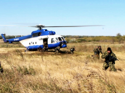 Полевой выход ОМОНа на транспорте завершился в Ростовской области