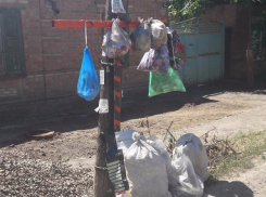 Мусорное дерево создали соседи под окнами новоселов в Северном районе Таганрога