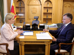 К 125-летию Шолохова на Дону начнут масштабное обновление культурных объектов