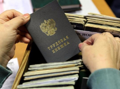 Жители Таганрога поддерживают введение электронных трудовых книжек