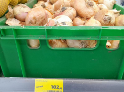 Цены на лук в Таганроге бьют новые рекорды