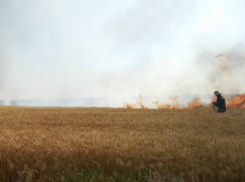 В районе трассы «Таганрог-Ростов»  горели неубранные поля