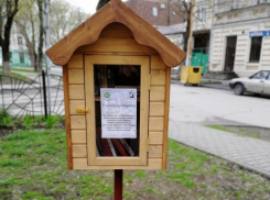 В Таганроге «уличные библиотеки» становятся традицией, благодаря волонтерам