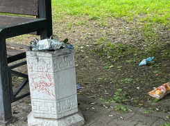 «Стыдно за любимый город»: центральный сквер Таганрога превращается в свалку 