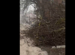 Сухая куча на Ломоносова, которую должны убрать ПЖ-19, ждет уборки вторую неделю