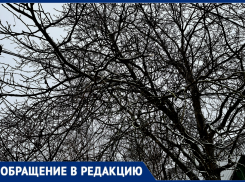 Сигнал из деревень: свет пока есть, но скоро не будет