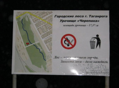 В Таганроге очищена балка Большая Черепаха в рамках нацпроекта «Экология»