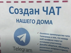 Новая схема угрожает таганрожцам: как не угодить в лисьи лапы 