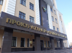 Прокуратура выявила в Таганроге нарушение прав детей-сирот