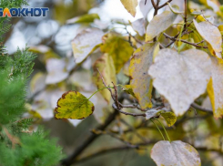 Новости народной мудрости: какие советы и запреты для таганрожцев несет в себе день Якова 