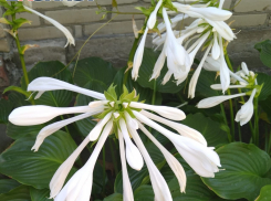 Таганрог: прогноз погоды на рабочую неделю с 11 по 15 сентября 