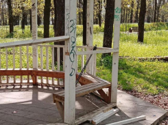 Вандалы добивают рощу Дубки в Таганроге, а дети там рискуют снова покалечиться