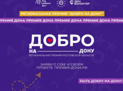 Таганрожцы могут побороться за региональную премию «Добро на Дону»