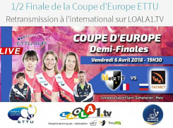 Таганроженки  - теннисистки завоевали бронзовую медаль  на Кубке Европы