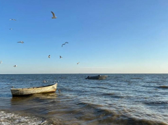 Соли станет меньше: Таганрогский залив не превратится в Чёрное море к 2050 году