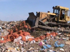 Под Таганрогом таможенники уничтожили 20 тонн санкционных продуктов