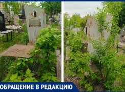 Таганроженка обратила внимание, что могилы Ветеранов войны не убирают много лет