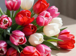 Флорист из Таганрога поделилась лайфхаком, как продлить жизнь подаренного букета до трех недель