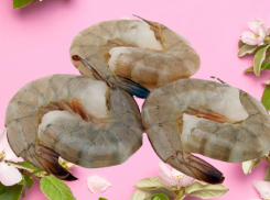 В Азовском море резко наращивают добычу креветки у берега - когда и где будут ловить