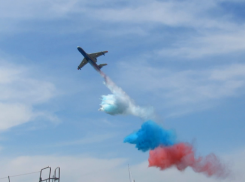 Таганрожцы оценили авиашоу