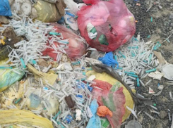 Административный штраф получил руководитель «ЭкоРодины», выбрасывающий  медицинские отходы в Неклиновском районе