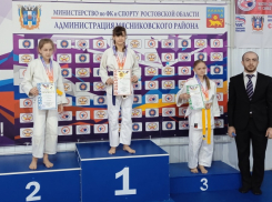 Таганрогские спортсмены - призёры в областном Первенстве по дзюдо 