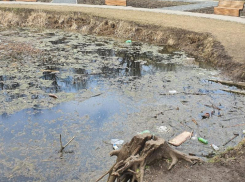 Администрация Таганрога пообещала летом почистить озеро в роще Дубки 