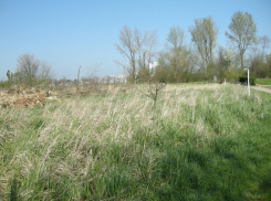 С 1 марта  необлагороженные участки земли у таганрожцев могут изъять