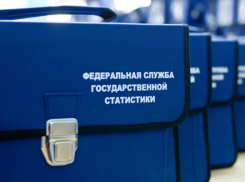 Таганрожцев  перепишут пробно с помощью портала госуслуг