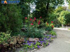 В субботу и воскресенье в Таганроге будет солнечная погода