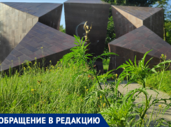 Романтичный бурьян в сквере «Звезда» возмутил таганрожца 