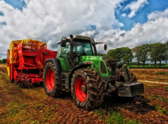 Экватор пройден: аграрии Дона отчитались о посевной - сколько зерновых и сколько картофеля