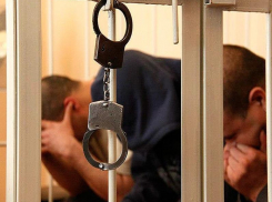 Таганрогский суд к 46 годам приговорил четверых наркоторговцев 