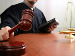Жителя Таганрога приговорили к 15 годам колонии строгого режима