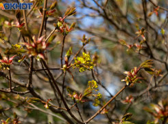 День весеннего равноденствия: что следует сделать таганрожцам, а что не рекомендуется