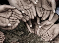 Нищая «Булава» сорвала четверть финал чемпионата России по регби