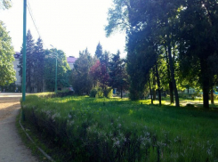 Погода в Таганроге на 5 дней: к нам придет тепло