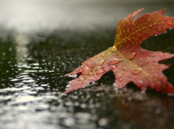 В Таганроге на следующей неделе запахнет осенью