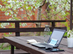 В Ростовской области жители стали чаще пользоваться интернетом на дачах