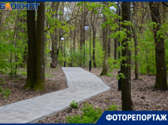 Фотокорреспондент «Блокнот Таганрог» запечатлел цветущую рощу «Дубки» 