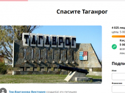 Мнение народа или травля? Более 4 тысяч таганрожцев подписали петицию за прямые выборы