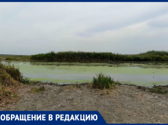 Рыболов Таганрога бьет тревогу, беспокоясь о Миусе