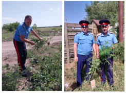 В МВД призвали приглядывать за участками соседей и пустырями 