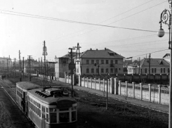 Редкое фото Таганрога показало, как важно заниматься озеленением города