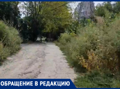 По кушерям да буеракам: таганроженка показала экстремальную дорогу к школе № 38