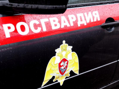 Росгвардейцы Таганрога поймали пьяного водителя, который пытался сбежать