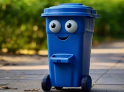 Владельцев частных домов в Таганроге предупредили о штрафах за «корм свалок»