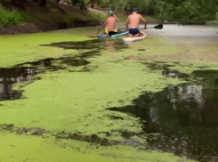 Река Миус внезапно обмелела и позеленела - таганрожцы предоставили наглядные улики 