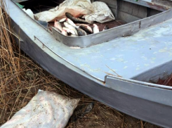 «Рыбак скрылся вплавь» — очерк о тяжелой работе пограничников Азовской акватории