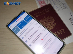Дети Таганрога и не только смогут самостоятельно регистрироваться на портале госуслуг
